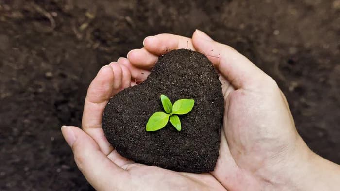 Consistency Over Intensity: Why Small Daily Habits Win